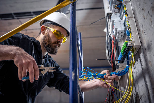 Best Electric Panel Repair  in Dasher, GA